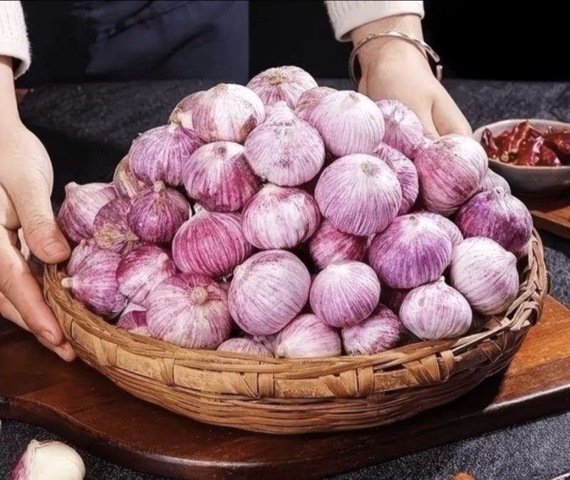 辽宁独头紫皮大蒜，马上起蒜，看货定价，5万斤