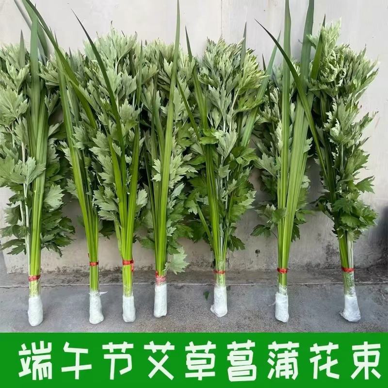 端午节挂门新鲜艾草香蒲菖蒲挂件整颗鲜艾草野生艾叶艾蒿窗户挂饰
