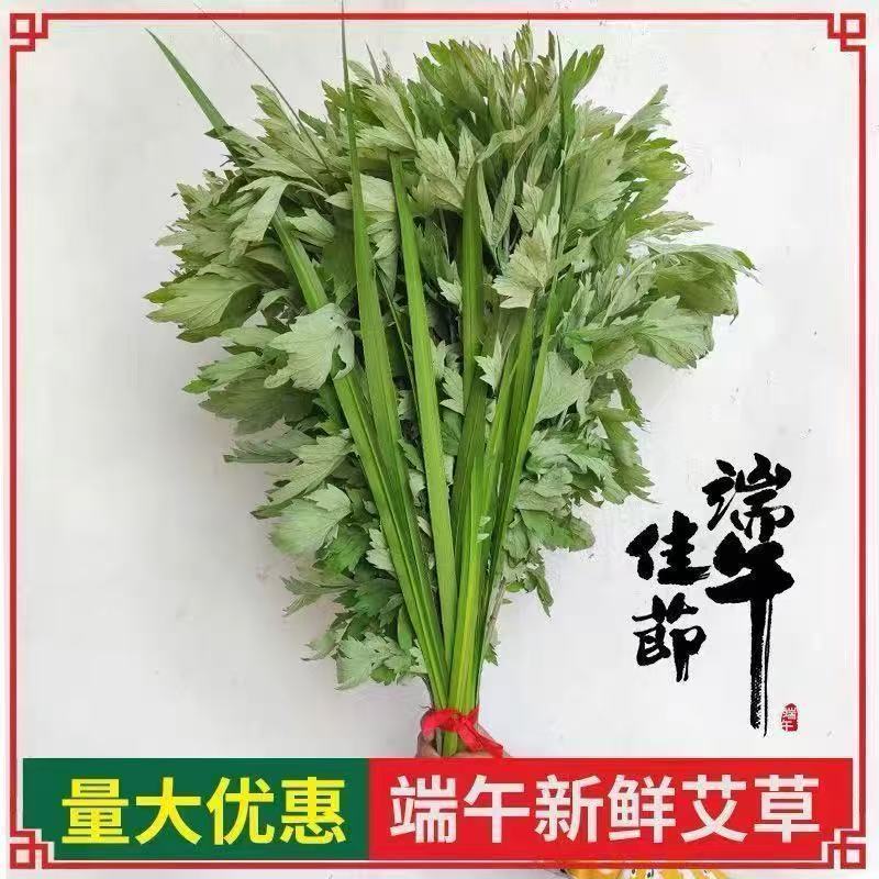 端午节挂门新鲜艾草香蒲菖蒲挂件整颗鲜艾草野生艾叶艾蒿窗户挂饰