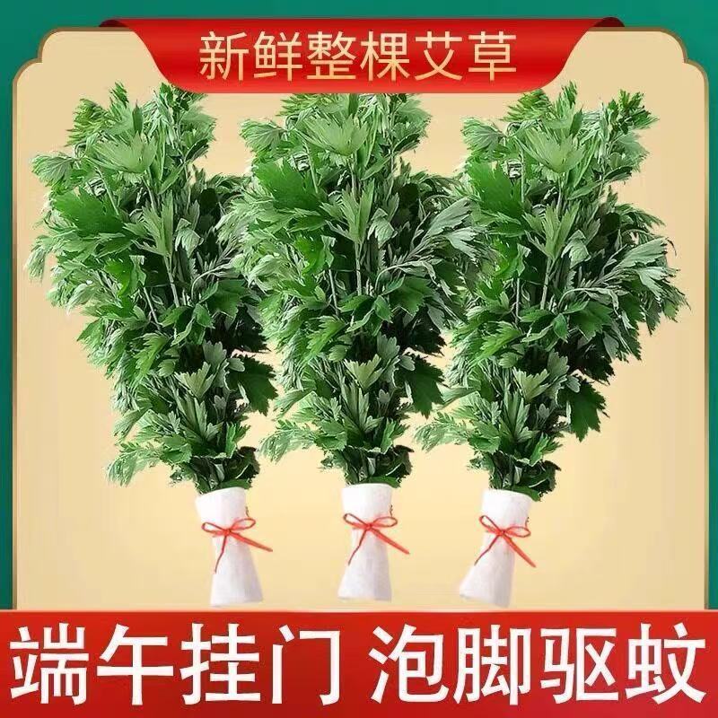 端午节挂门新鲜艾草香蒲菖蒲挂件整颗鲜艾草野生艾叶艾蒿窗户挂饰