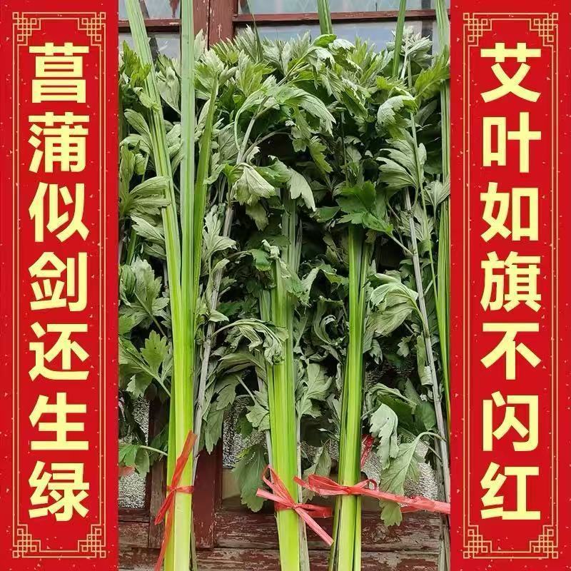 端午节挂门新鲜艾草香蒲菖蒲挂件整颗鲜艾草野生艾叶艾蒿窗户挂饰