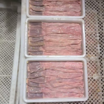 老白鸭食带一吨半