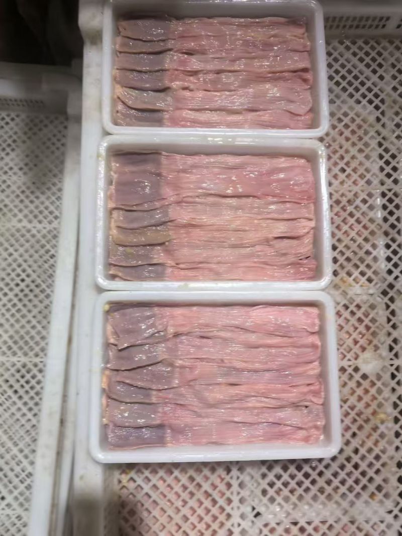 老白鸭食带一吨半