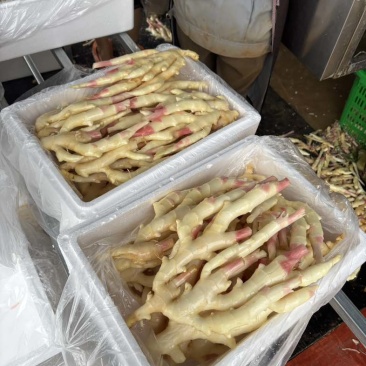 急售广西南宁本地红芽子姜（水洗，带泥）新鲜上市#生姜产地直供
