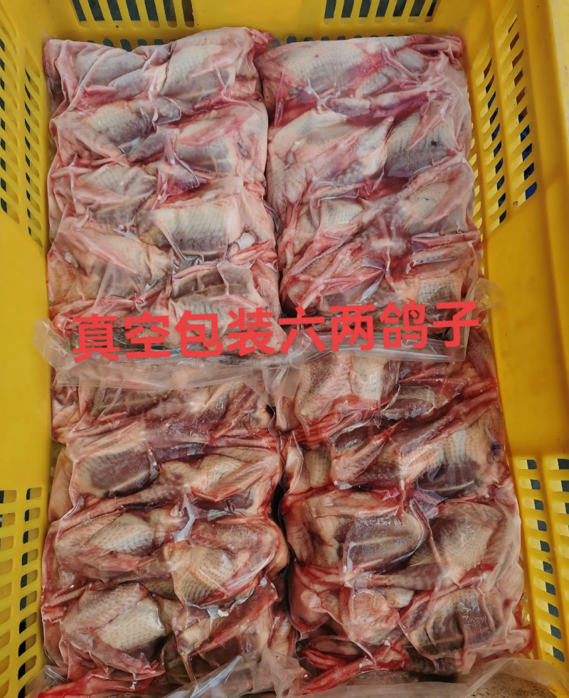 -品种：本地土鸽（瓦灰/雨点，非白羽王）​-规格