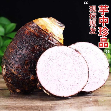 湛江粉芋头批发量大