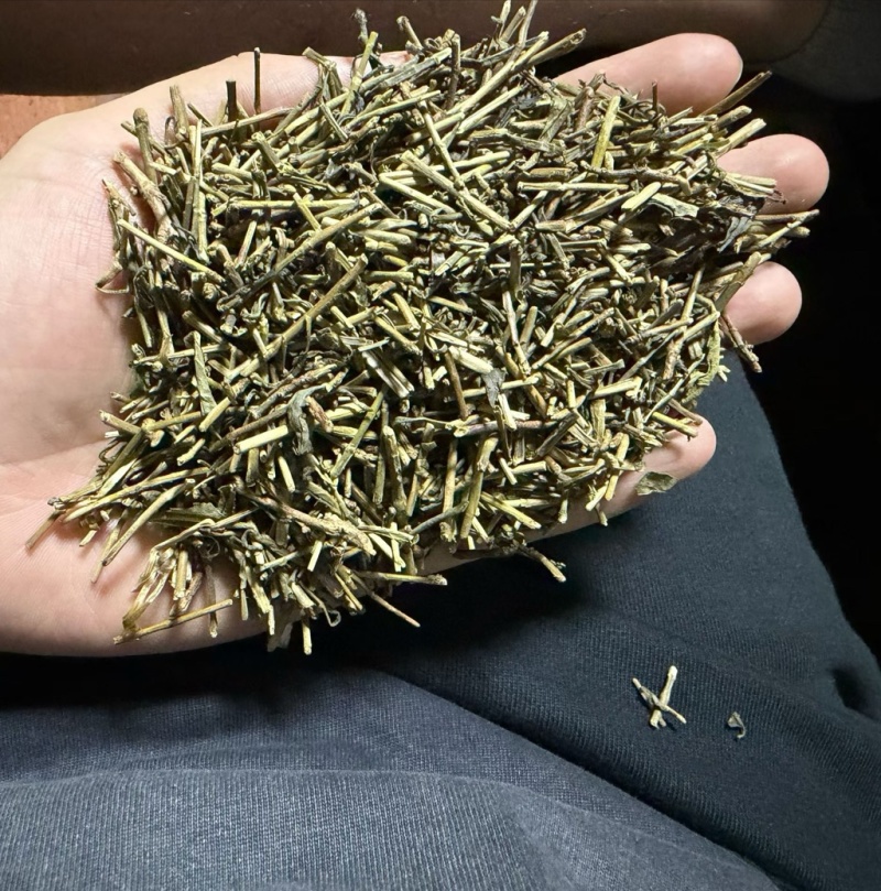 性价比超高的绿茶