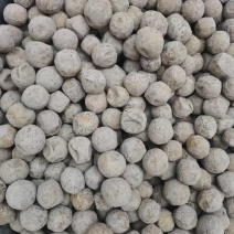 永锋灰豆腐果