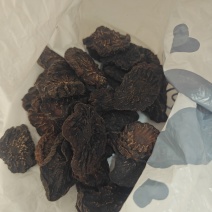 肉苁蓉