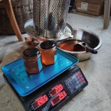 正宗土蜂蜜，货源充足，正品保证，价格优惠，欢迎咨询采购