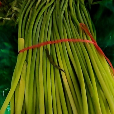 蒜苔