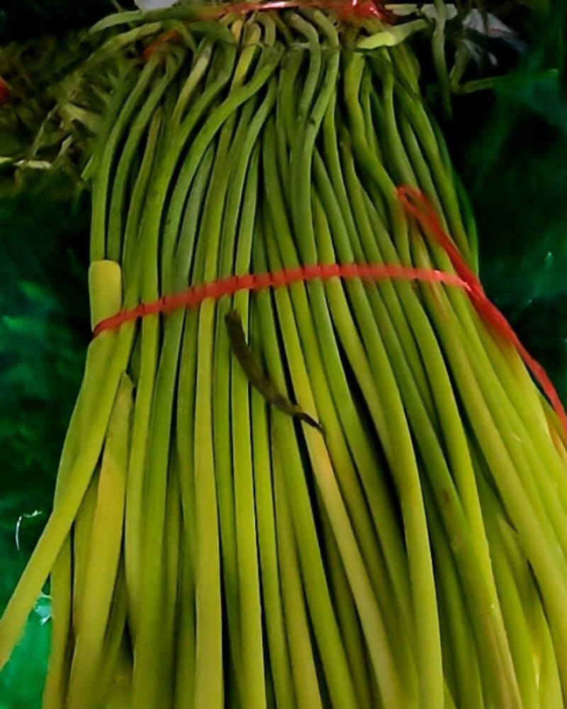 蒜苔