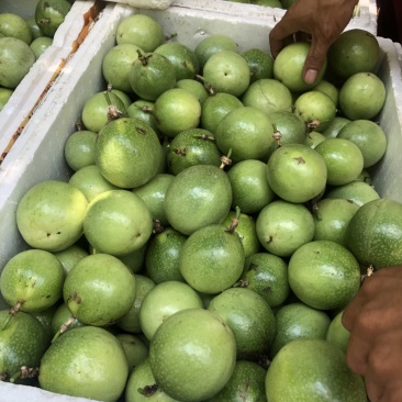 黄金百香果