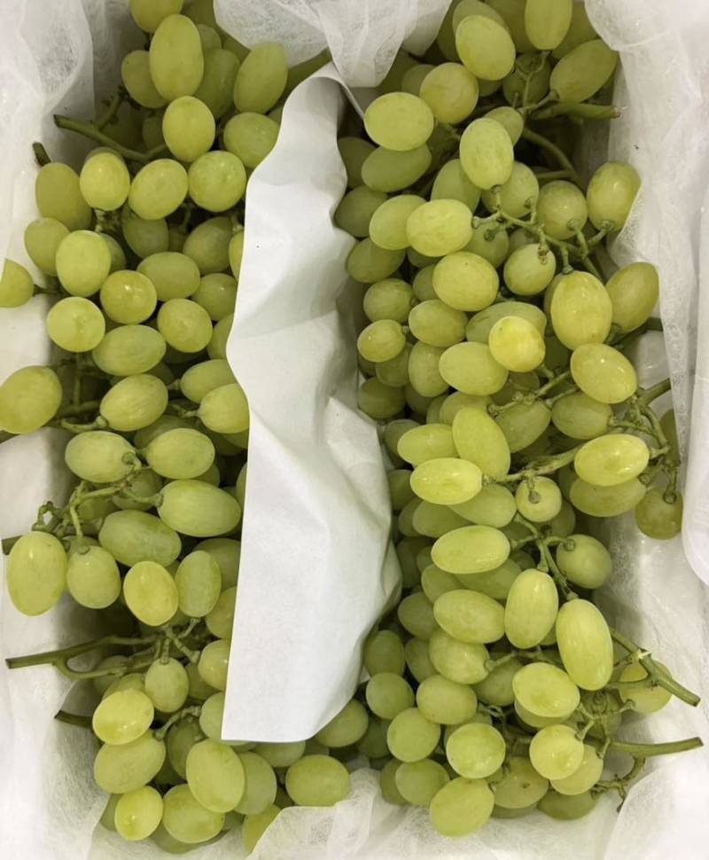 维多利亚葡萄精品葡萄产地直发品质保障量大从优可视频看货