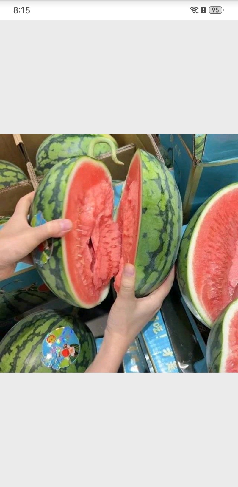 西瓜价格美丽长期供应