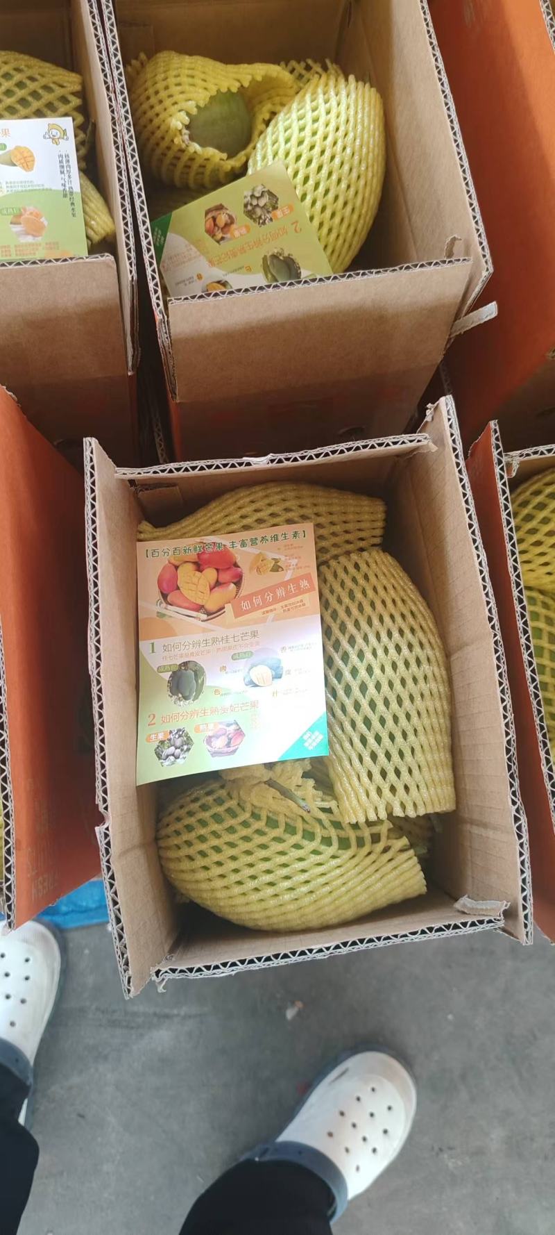 支持整车发货，一件代发持续接单中