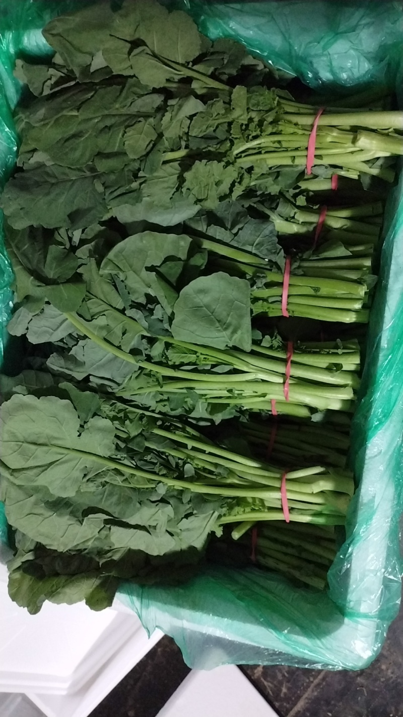 板小青，板兰根青菜