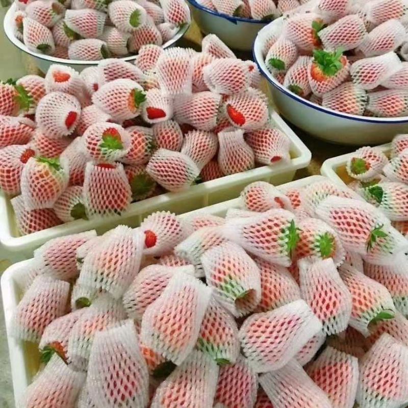 云南红颜草莓蒙特瑞草莓