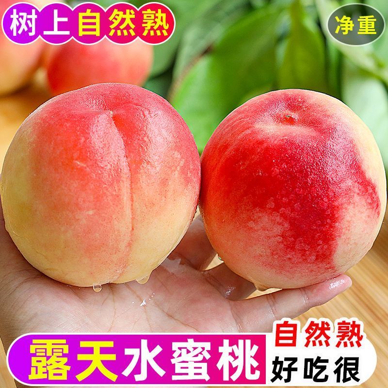 蟠桃大量上市，好吃不贵