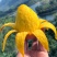 正宗芒果，大量上市
