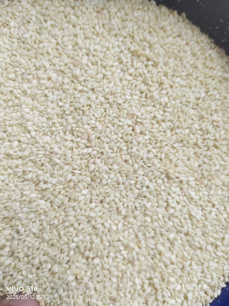 脱皮熟芝麻