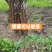 一年两年