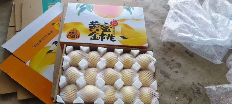 黄油桃，对接全平台电商供应链，一手货源一手价格一件代发