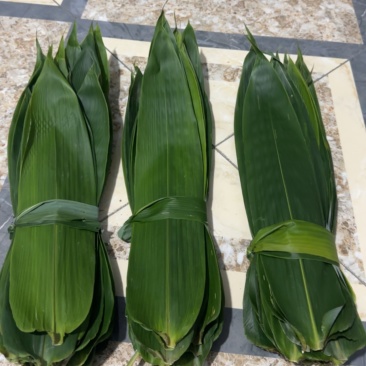 原生态精品粽叶，统货宽6～9cm，长38cm以上