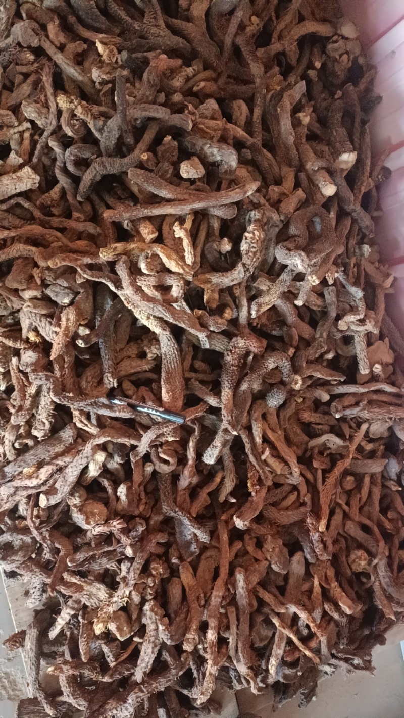肉苁蓉