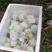 帝王白芭乐