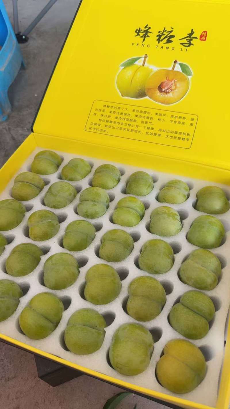 正宗六马蜂糖李