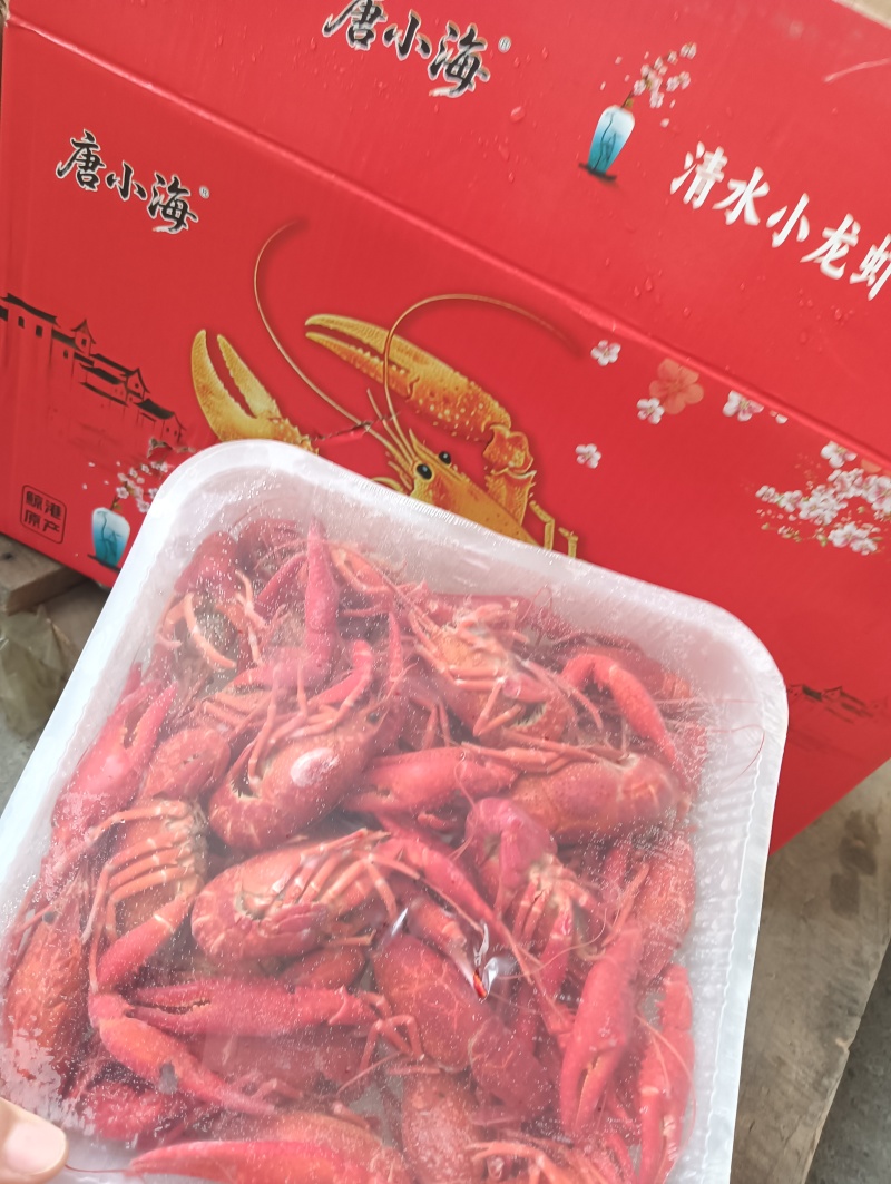 唐小海小龙虾一件20斤十盒装3/5钱4/6钱