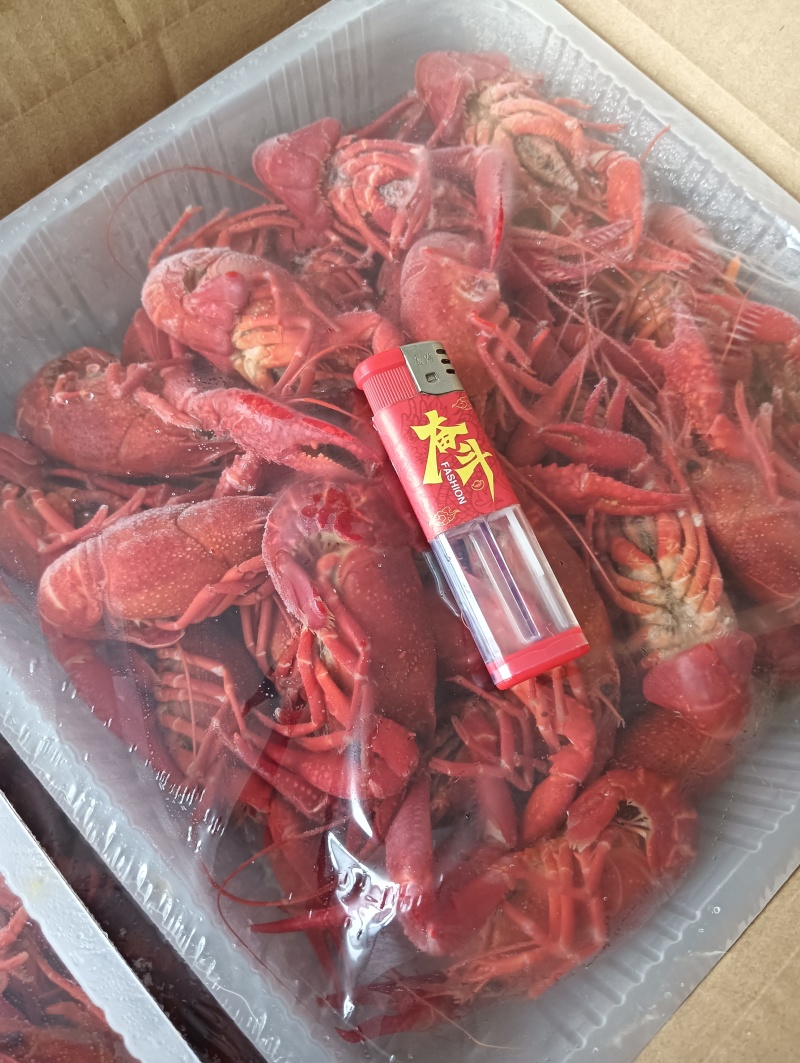 唐小海小龙虾一件20斤十盒装3/5钱4/6钱