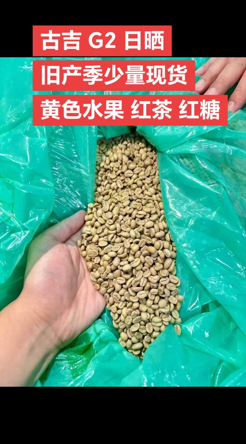 古吉G2日晒旧产季少量现货海拔：2100-2300米