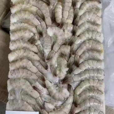 印度、厄瓜多尔无头虾！量大！