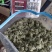 云南野生青树花灰树花树胡子批发