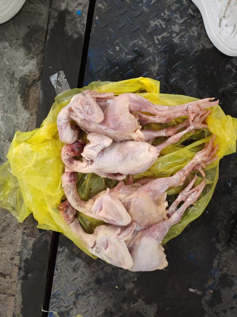 抛一批一级二级三黄鸡规格通出价格有优势