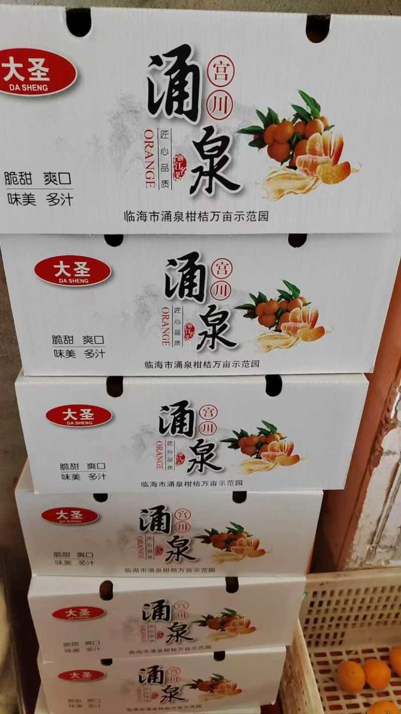 正宗《临海涌泉宫川蜜桔》现摘现发新鲜水果，自产自销。