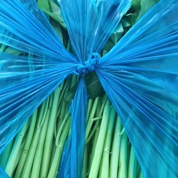 江苏空心菜自家种植对接江苏附近欢迎咨询保质保量