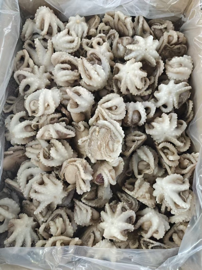 翻花小章鱼大量现货量大从优