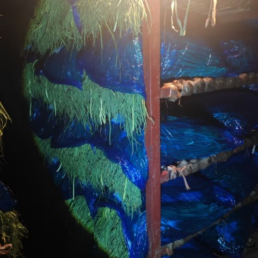 新鲜蒜薹，廊坊永清县