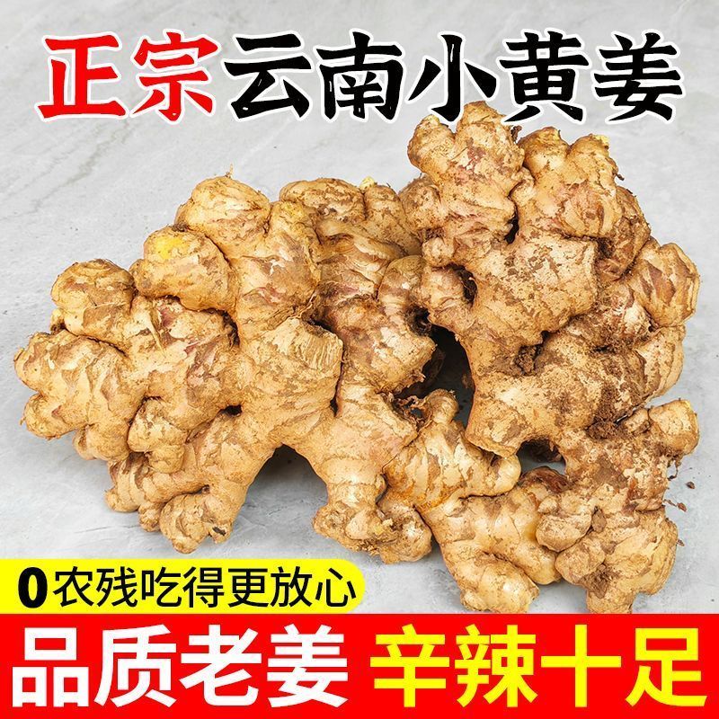 云南小黄姜