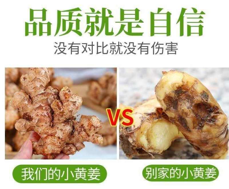 云南小黄姜