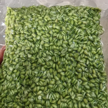 青麦仁，青麦仁，青麦仁，家庭农场。产自销，一手货源。欢迎老板