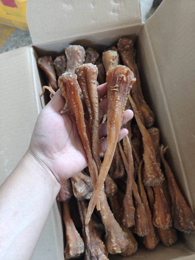 藏雪参藏血参红毛阳参