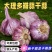 云南紫皮大蒜精品5cm以上