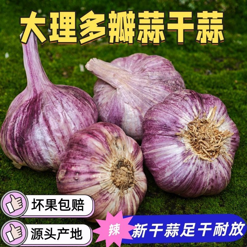 云南紫皮大蒜精品5cm以上