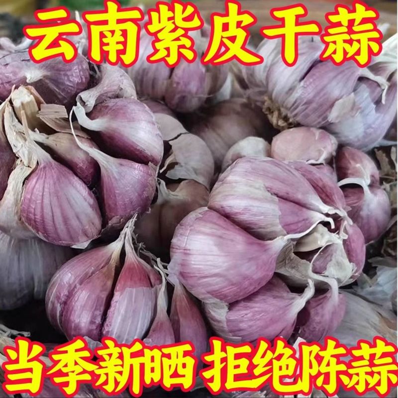 云南紫皮大蒜去外皮精品5cm以上