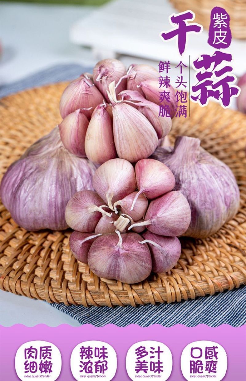 云南紫皮大蒜去外皮精品5cm以上
