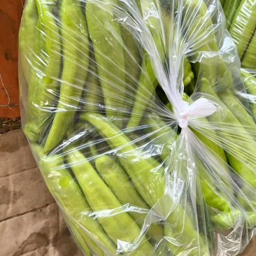 黄皮尖椒，通货，大量有，需要的老板联系
